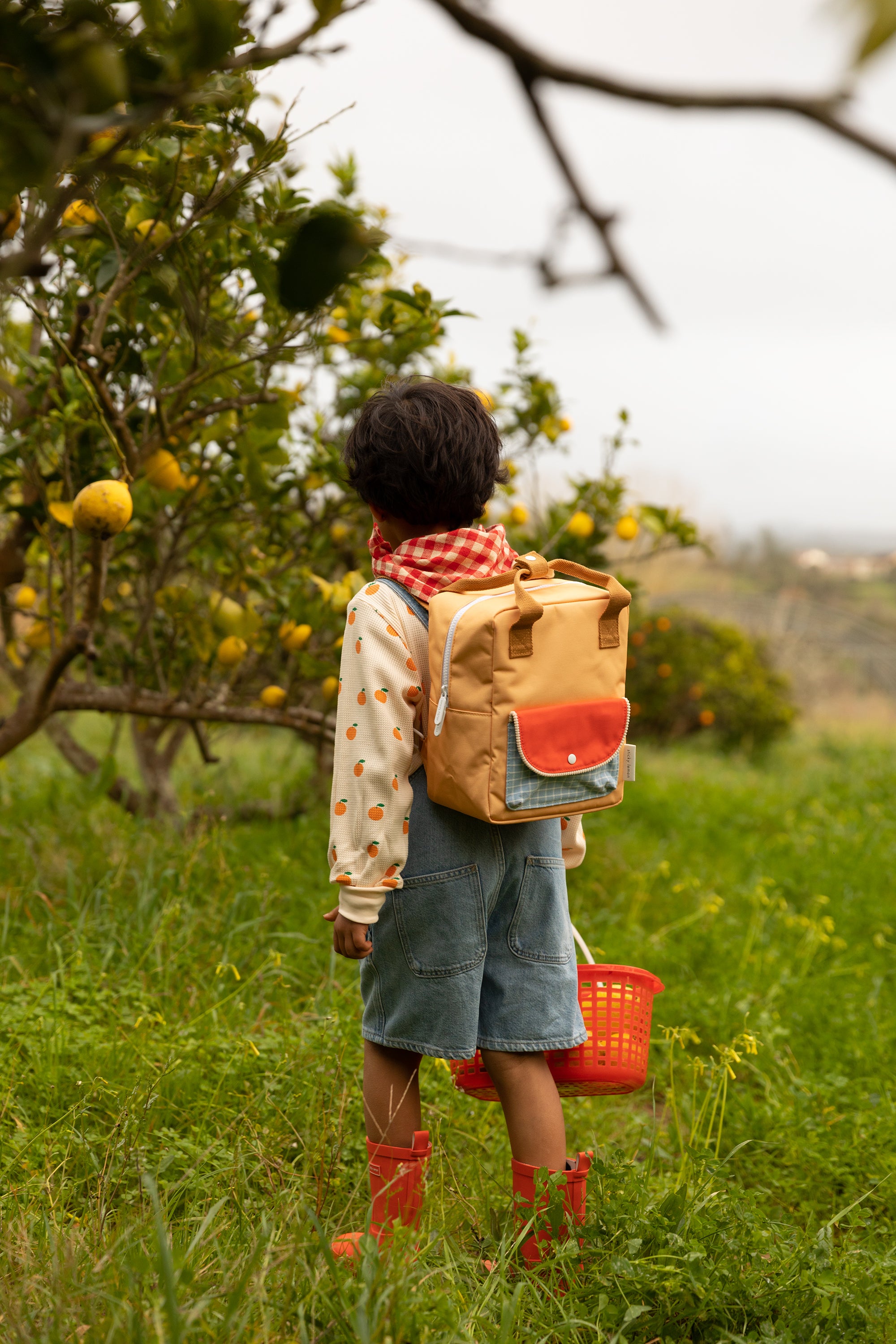 backpack small | farmhouse | envelope | Josiah Amari