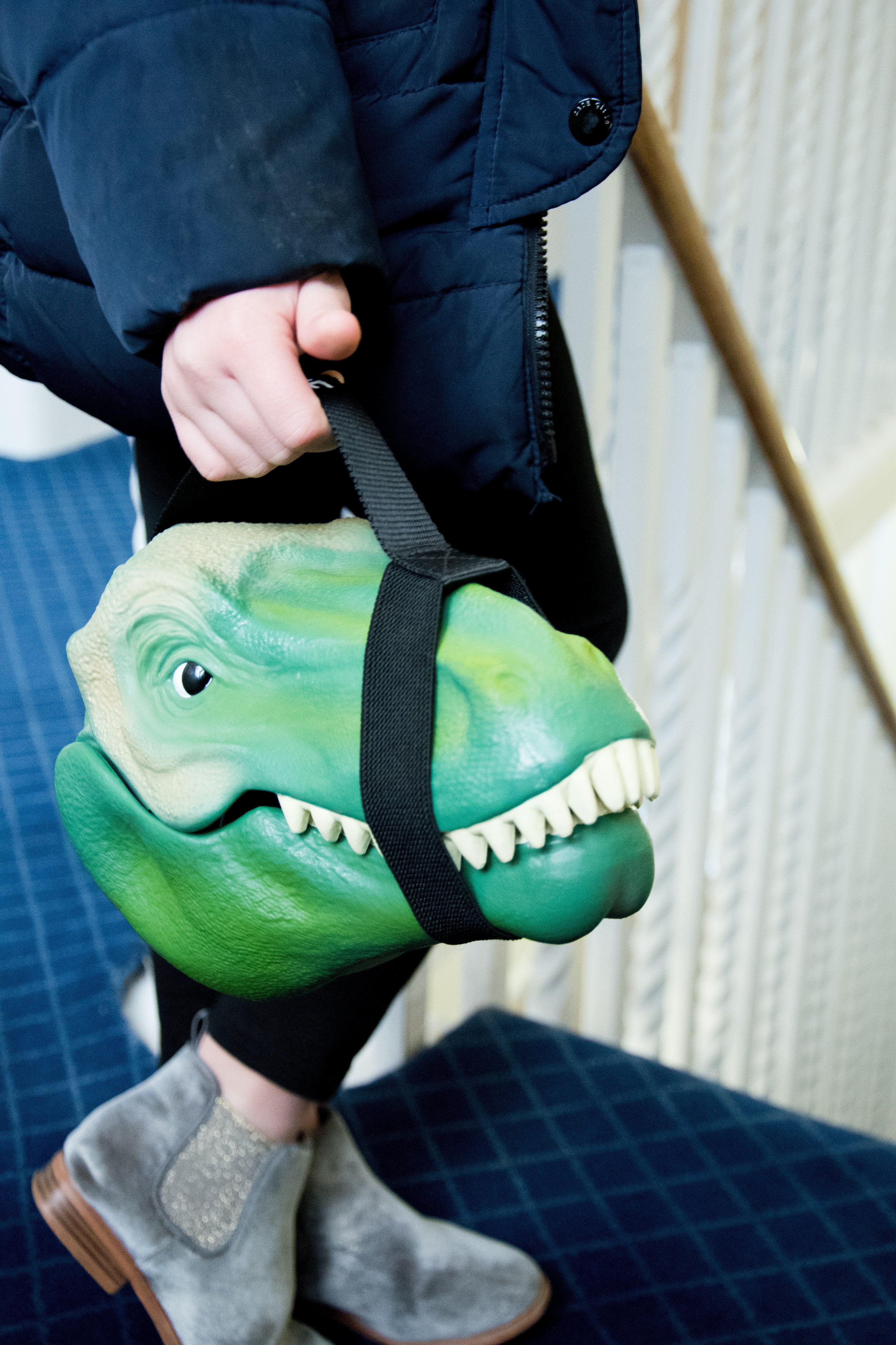 Dinosaur Lunch Box | Josiah Amari